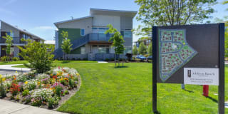 Addison Ranch Gallery 57