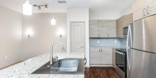 RIZE at Winter Springs Gallery 142