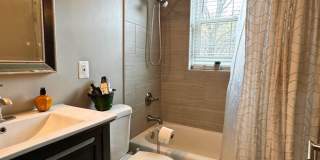 Modernized Fully Furnished 1BR, 1BA Condo at Arbors of Arlington Gallery 16