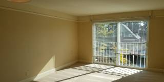 Spacious 1 Bed/1 Bath Condo in Wallingford/Fremont Gallery 4