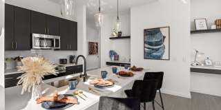 Overlook at Radius Dilworth Gallery 6