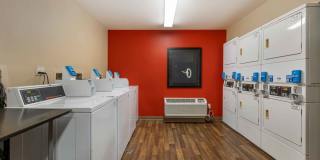 Chicago - Midway Gallery 17
