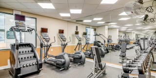 Windsor at Mariners Gallery 44