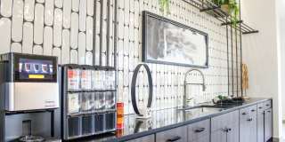 Lavina Gallery 22