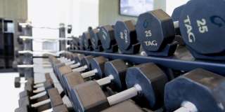 The Sutton Gallery 23