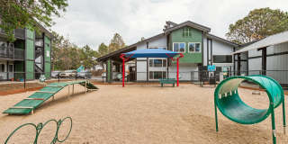 Park at Palmer Gallery 37