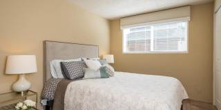 Aspire Eugene Gallery 11