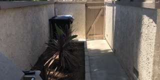 3 Bedroom Condo - End Unit For Lease Gallery 21