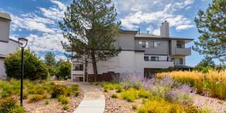 Reflections on 92nd Gallery 22