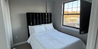 2009 Greene Street 203 Gallery 8