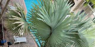4408 Renaissance Way Gallery 27