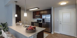 Solace Apartments Gallery 2