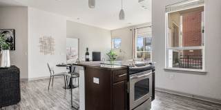 Mason at Alameda Station Gallery 53