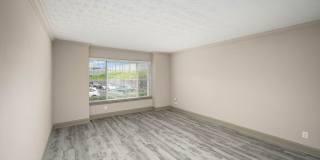 The Harrison Gallery 8