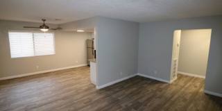 Revive Medical District Gallery 14