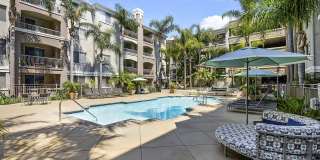 Windsor Main Place Gallery 37