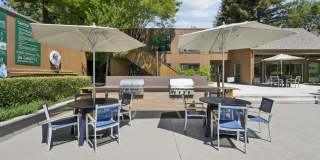 Old Orchard Apartments Gallery 10