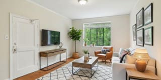 Cameron Court & Shelton Gallery 16