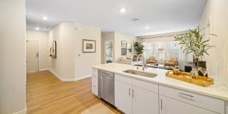 Emblem Renata Gallery 3