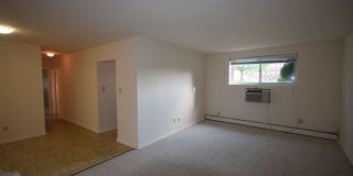 Graduate and Professional Gallery 15