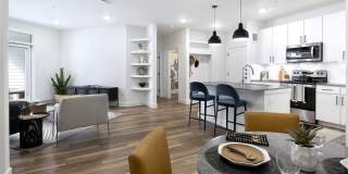 36 Comal Street Gallery 18