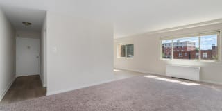 Wood Lee Arms Gallery 24