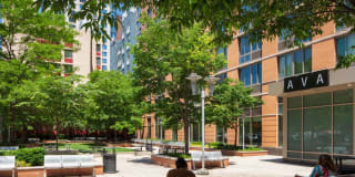 AVA Fort Greene Gallery 31