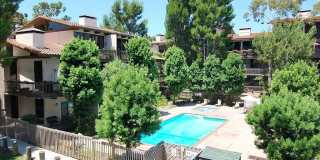 7217 Marina Pacifica Dr Gallery 18