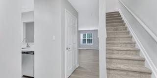 Timber Ridge Gallery 2