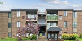 Grove at Alban Gallery 2