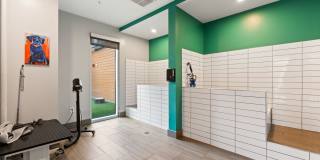 Uptown 550 Gallery 41
