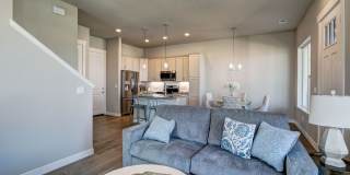 Mangold831 (KC-LN) Gallery 30