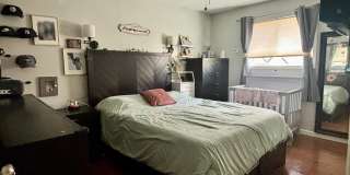 61 Stepney Street Gallery 9