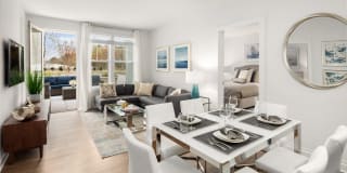 Harbor Landing Gallery 6