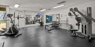 Hollytree Apartments Gallery 35