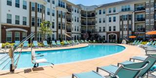 Allure Apollo Gallery 5