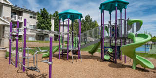 Orchard Cove Gallery 9