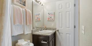 Sea Oats Sea Oats Gallery 78