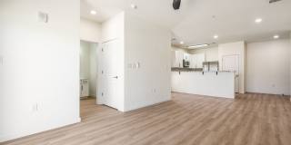 Rio Grande Gallery 130