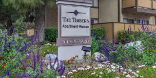 The Timbers Apartment Homes Gallery 13