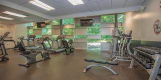 Millennium Apartments Gallery 50