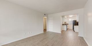 Eastwind Gallery 125