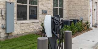 Marlowe Wellington Gallery 28