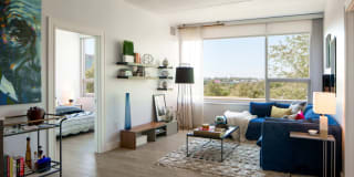 Dalian on the Park Gallery 6