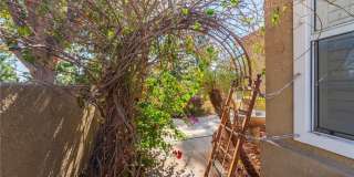 24 Cellini Gallery 6