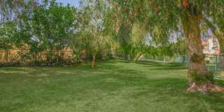 Colony Townhomes Gallery 23