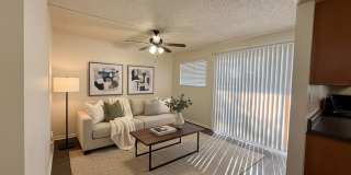 Azara Tempe Gallery 8