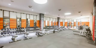 The Aldyn The Aldyn Gallery 39