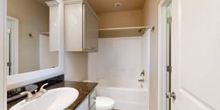 3519 Summerway Dr Gallery 19