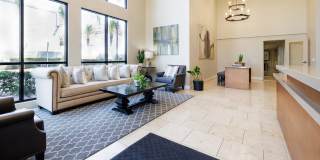 Alta South Bay Gallery 5